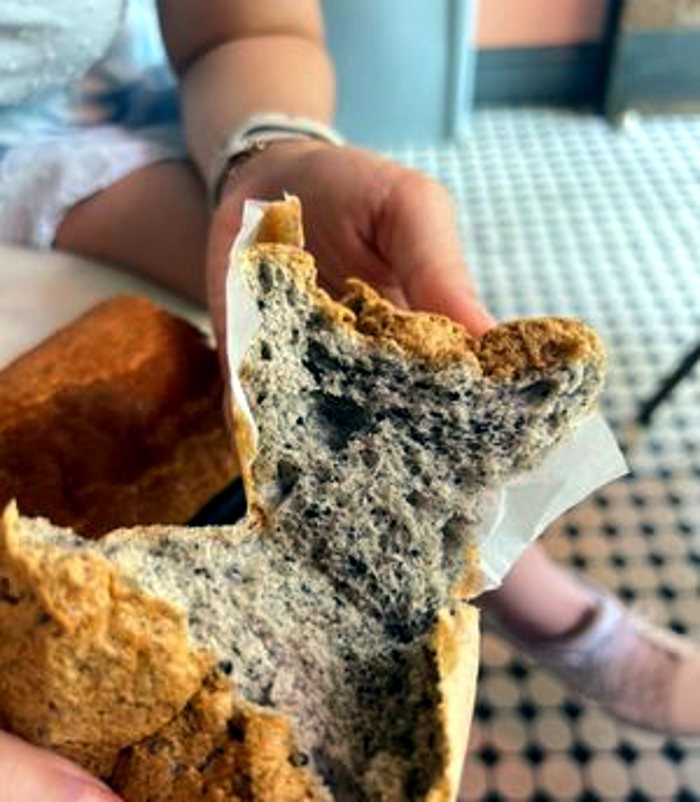 Black sesame spongie cake, sliced open showing speckled grey crumb